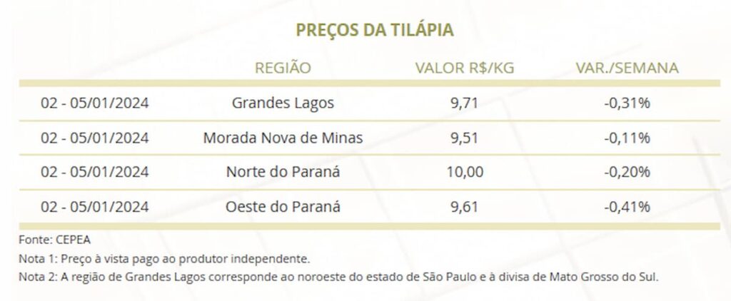 Veja o mercado de peixes na primeira semana de 2024