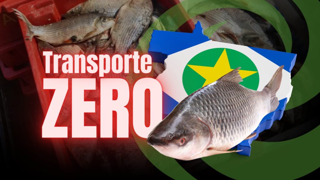 Lei do Transporte Zero de Pescado em Mato Grosso: Impactos e Polêmicas