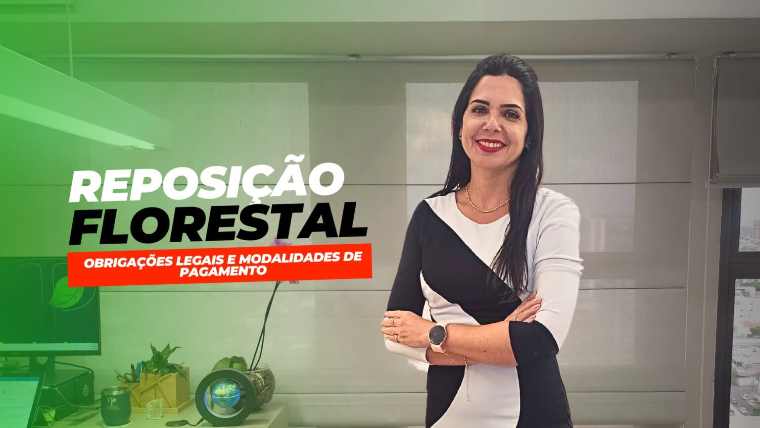 Reposição Florestal 2024: Obrigações legais e modalidades de pagamento