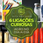 6 ligações curiosas entre o agronegócio e o nosso dia-a-dia