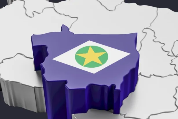 Mato Grosso carne bovina