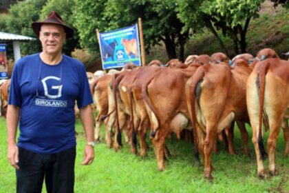 pequenos produtores de leite - evandro guimarães (1)