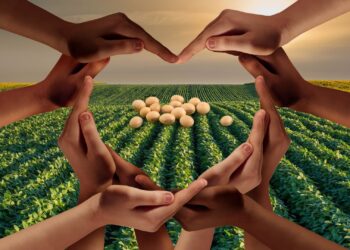 A revolução sustentável do agro brasileiro