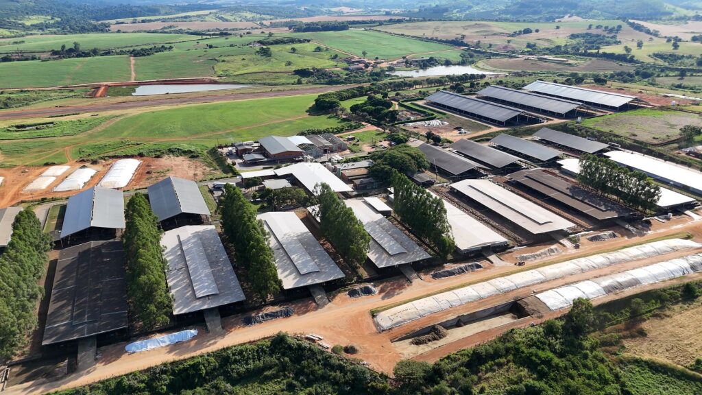 Como produzir 100 mil litros de leite por dia? Visitamos uma fazenda que faz isso