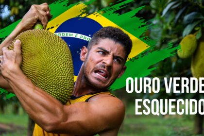 Jaca O ouro verde esquecido que pode revolucionar a agricultura brasileira