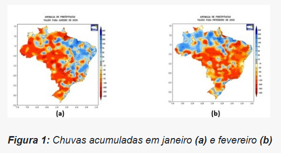 previsão do tempo