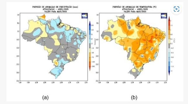 previsão do tempo