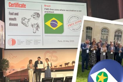 Livre de aftosa sem vacinação