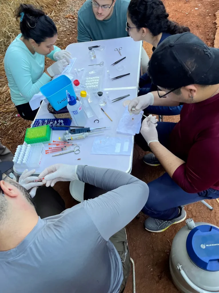 Projeto científico monitora saúde de ambientes aquáticos continentais no Paraná